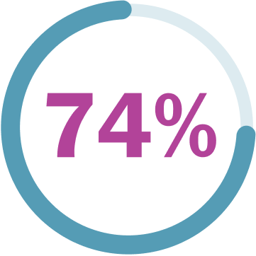 74% icon